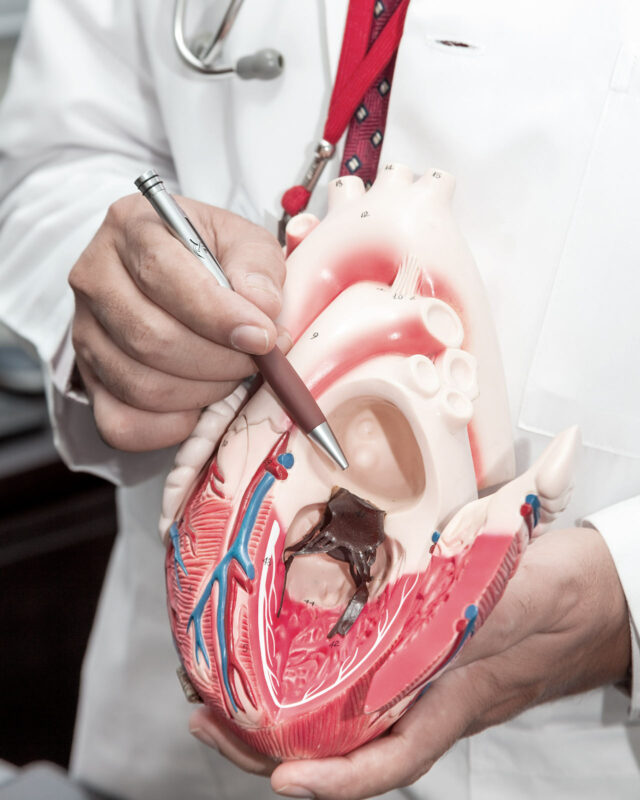 Primo Centri Medici Cardiologia Organo Cardiaco Interno