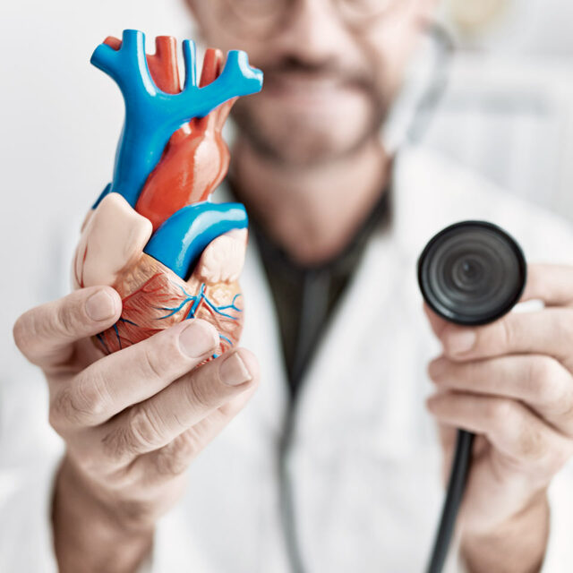 Primo Centri Medici Cardiologia Organo Cardiaco