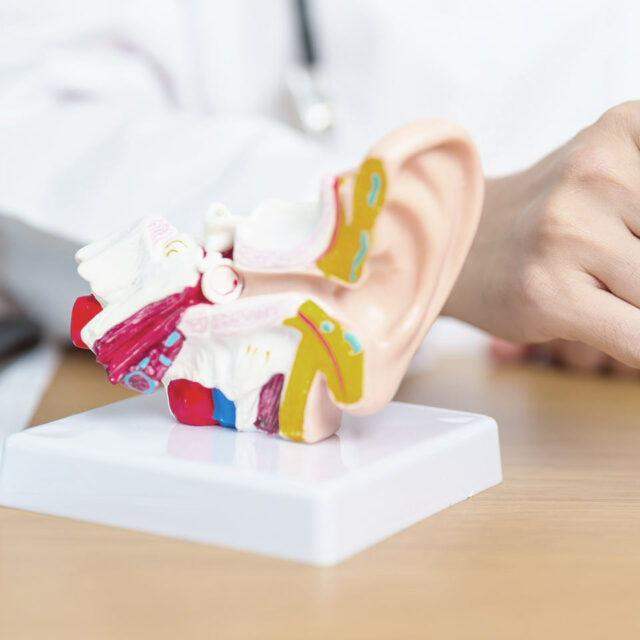 Orecchio Centri Medici Primo